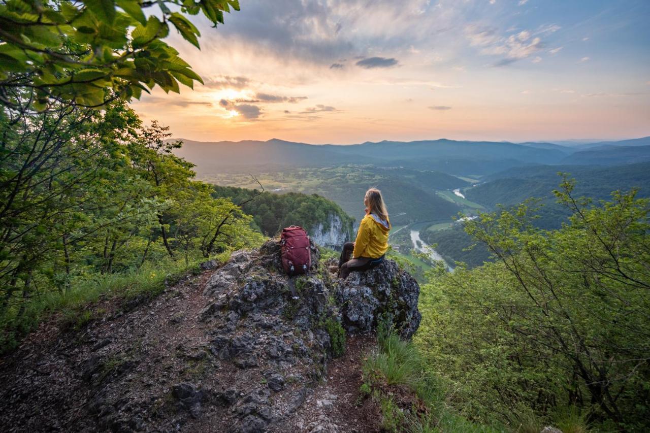 Hostel Bearlog Kocevje Exteriér fotografie