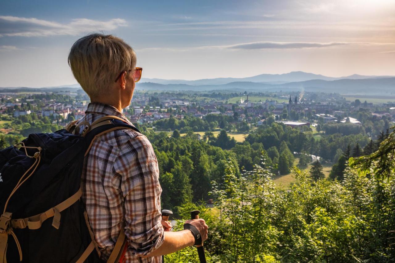 Hostel Bearlog Kocevje Exteriér fotografie